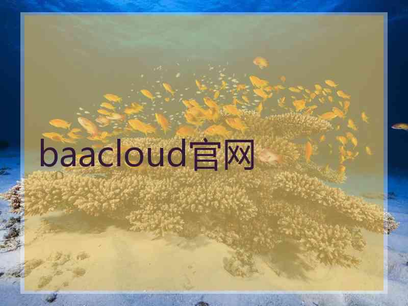 baacloud官网
