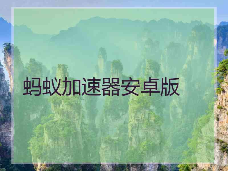 蚂蚁加速器安卓版