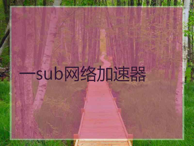 一sub网络加速器