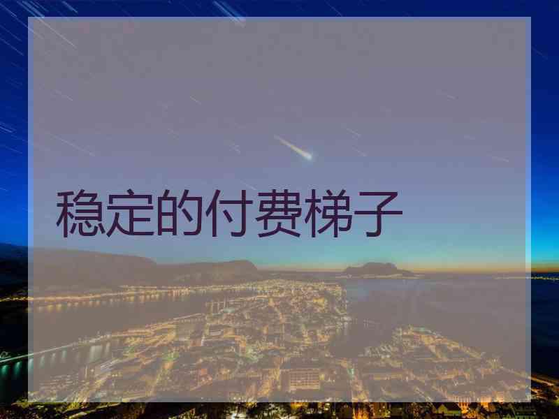 稳定的付费梯子