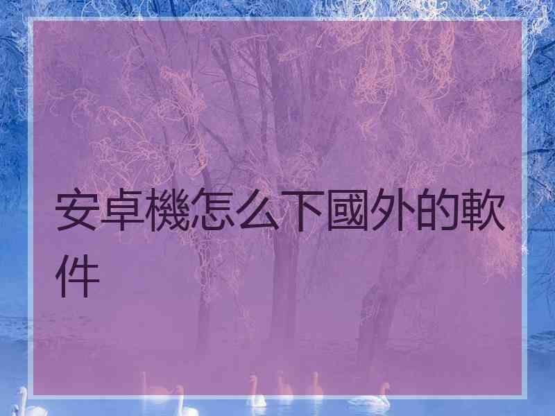 安卓機怎么下國外的軟件