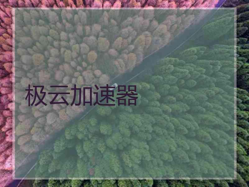 极云加速器