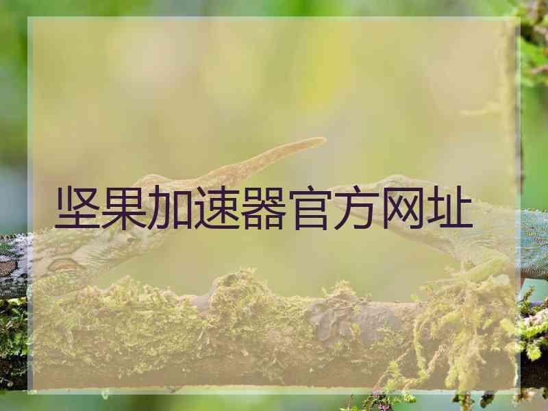 坚果加速器官方网址