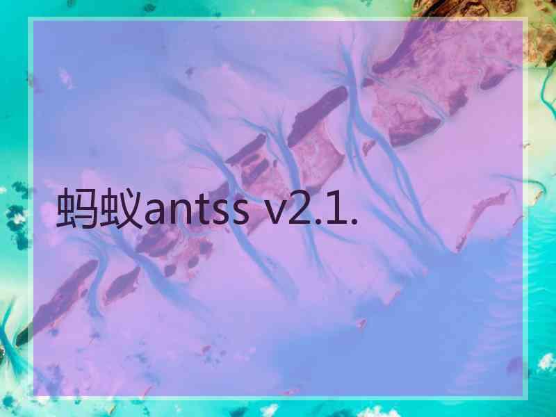 蚂蚁antss v2.1.