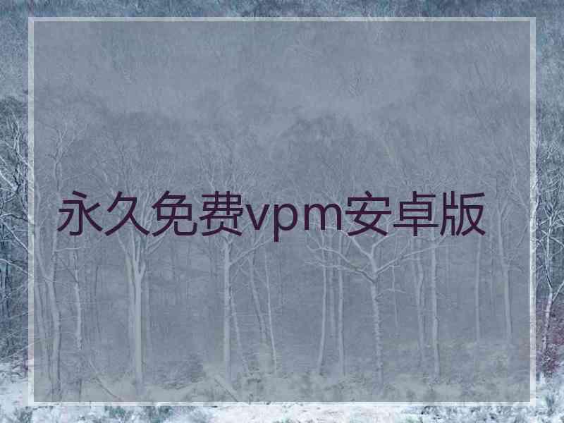 永久免费vpm安卓版