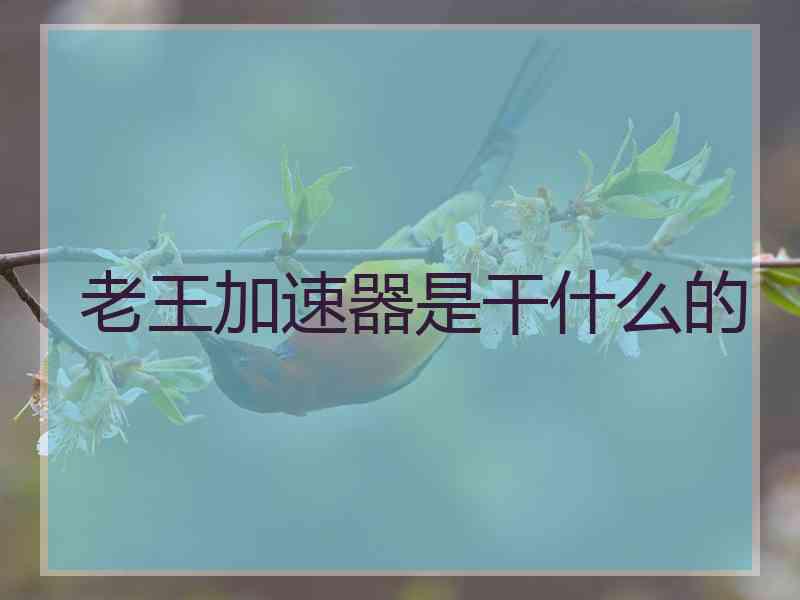 老王加速器是干什么的