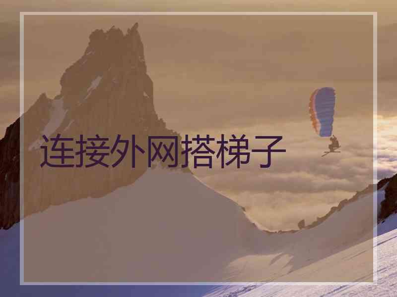 连接外网搭梯子