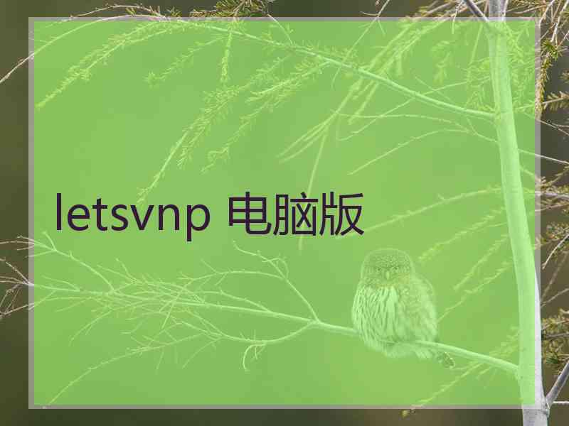 letsvnp 电脑版