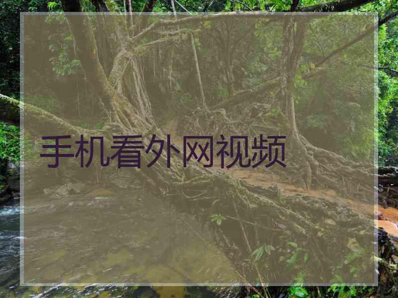 手机看外网视频
