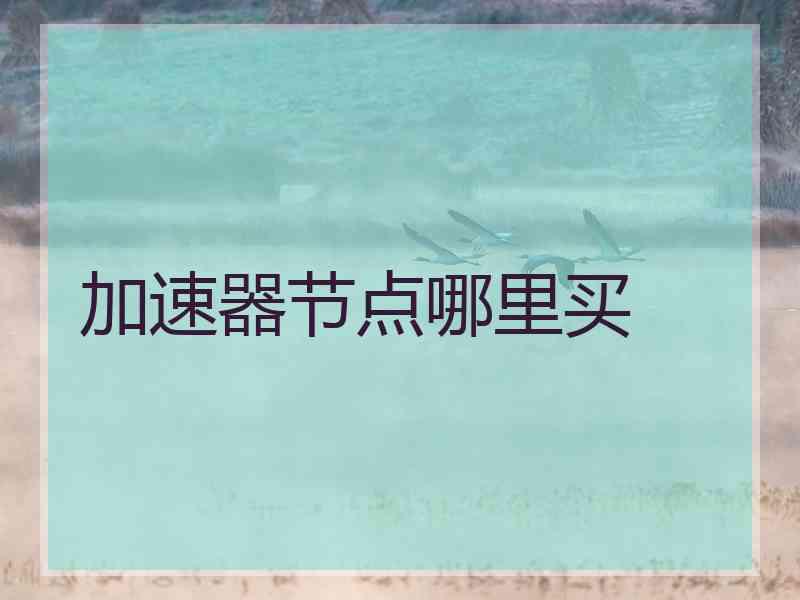 加速器节点哪里买
