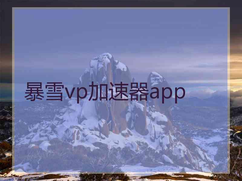 暴雪vp加速器app