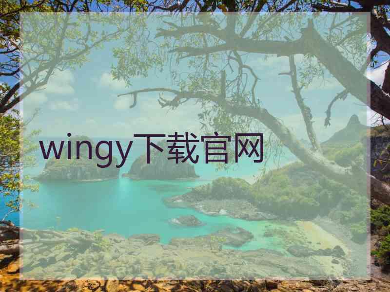 wingy下载官网