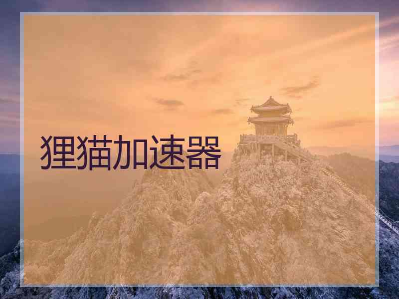 狸猫加速器