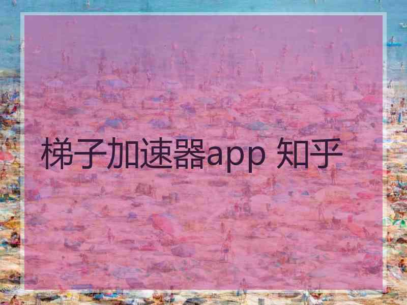 梯子加速器app 知乎