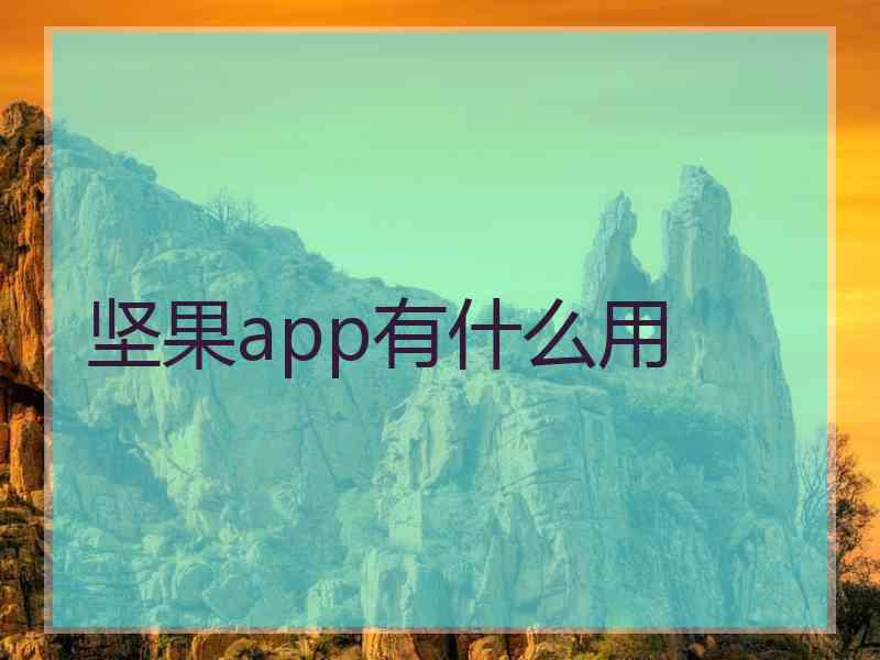 坚果app有什么用