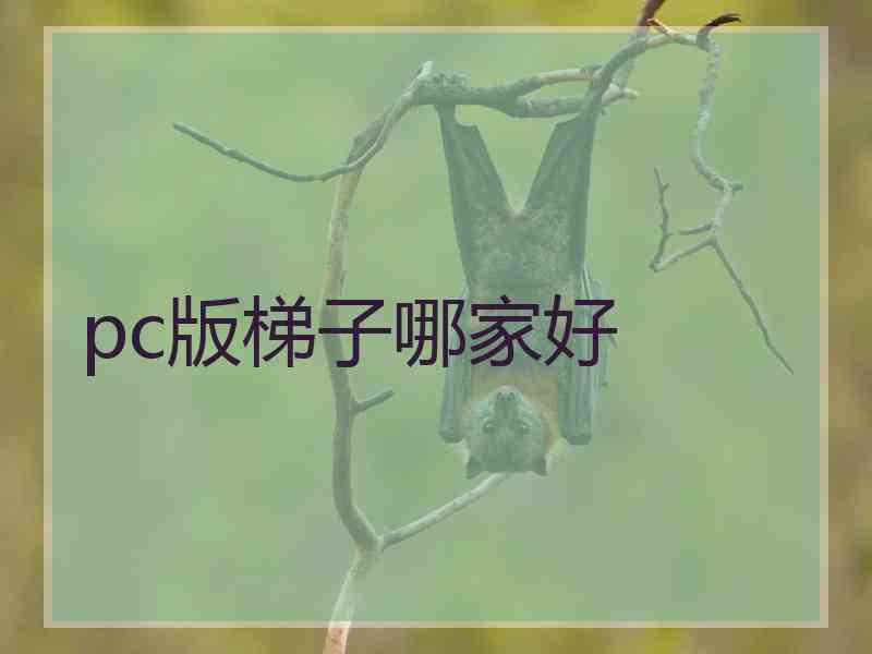 pc版梯子哪家好