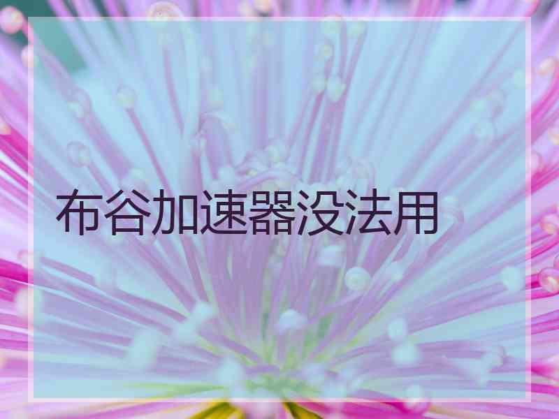 布谷加速器没法用