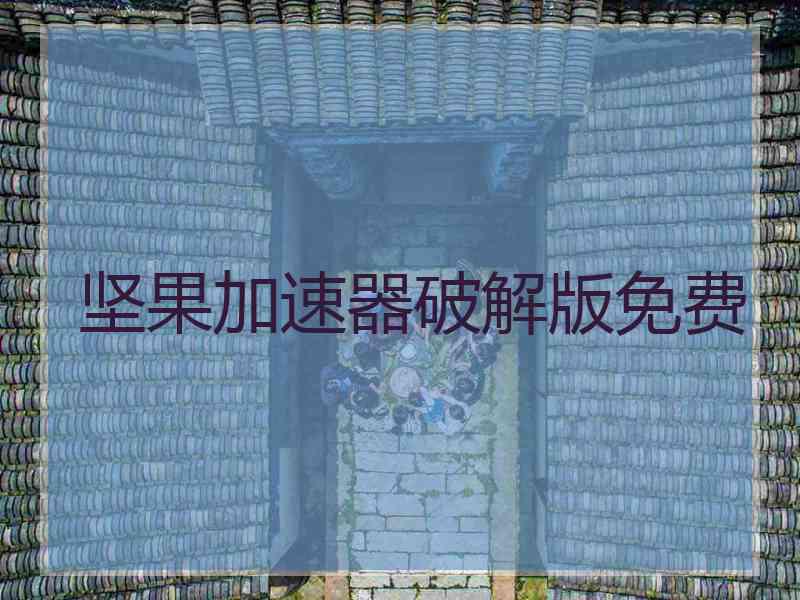 坚果加速器破解版免费