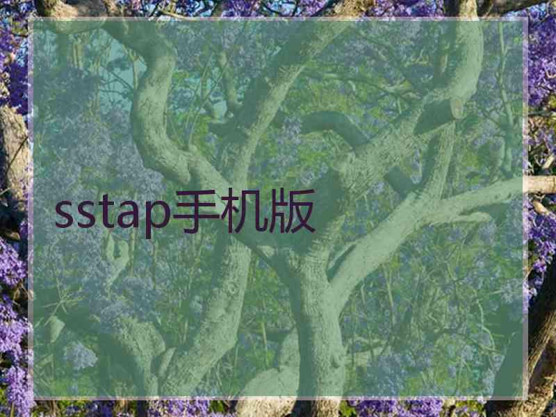 sstap手机版
