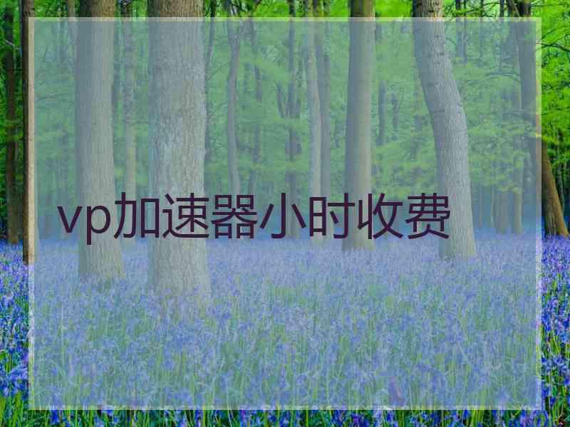 vp加速器小时收费