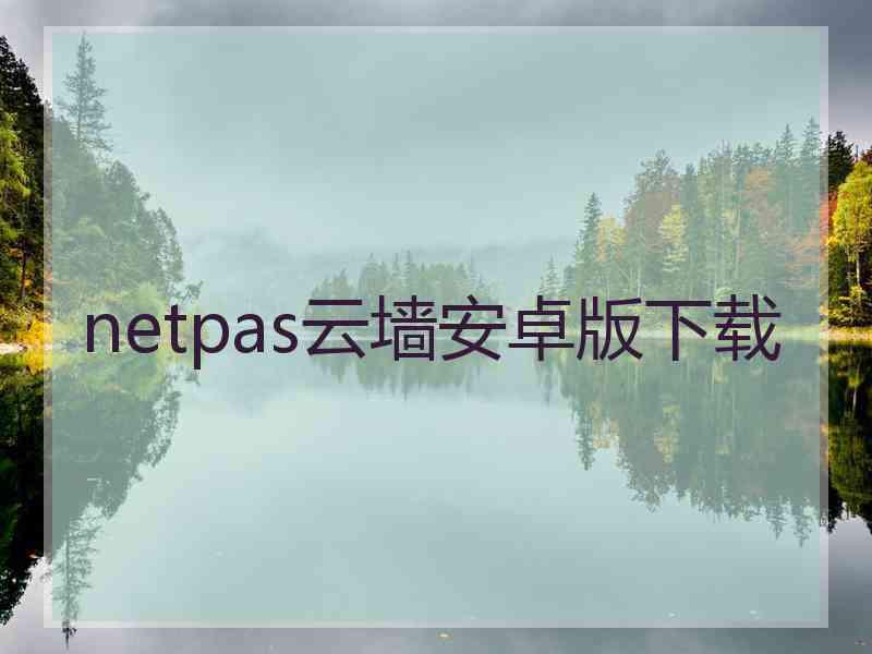 netpas云墙安卓版下载