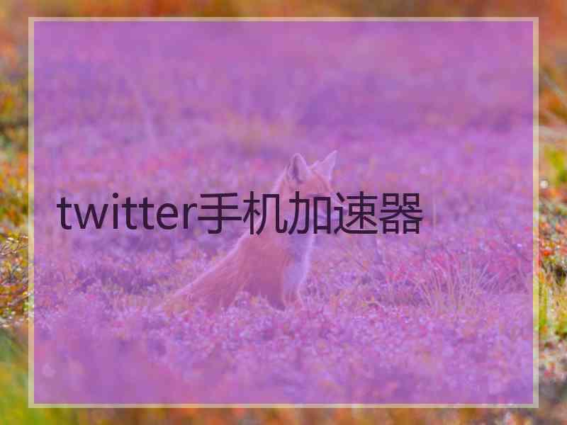 twitter手机加速器