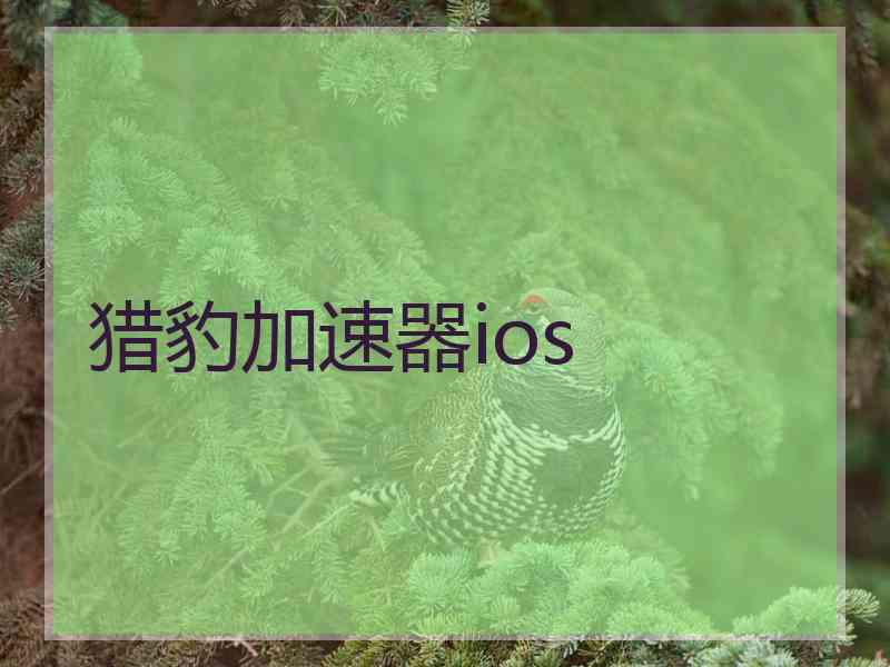 猎豹加速器ios