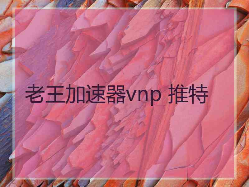 老王加速器vnp 推特