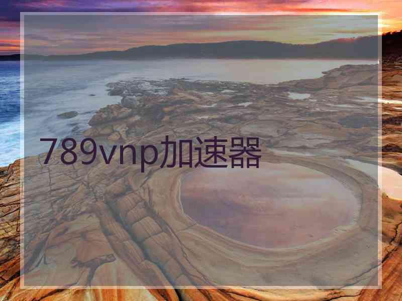789vnp加速器