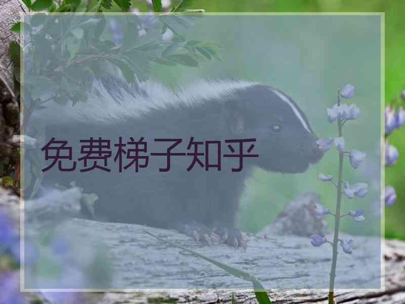免费梯子知乎