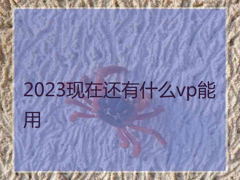2023现在还有什么vp能用