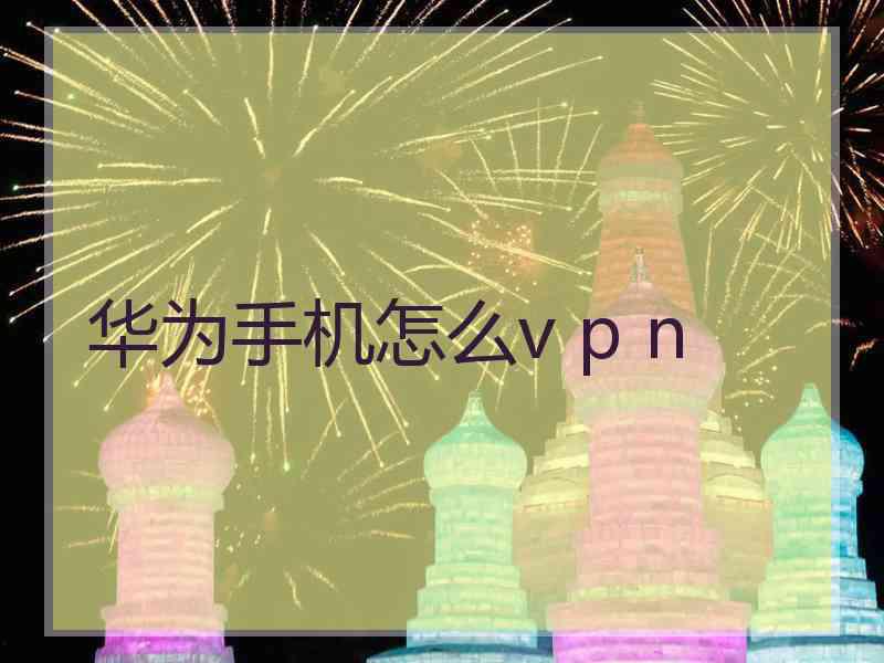 华为手机怎么v p n