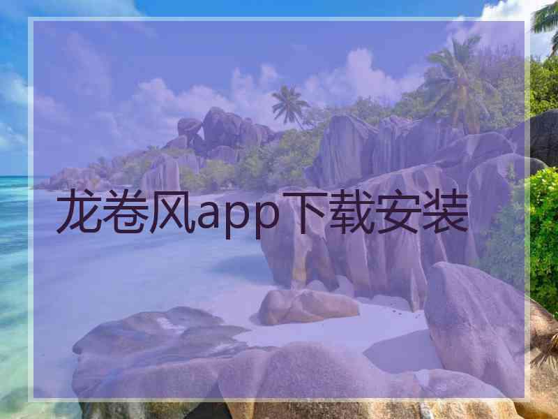 龙卷风app下载安装