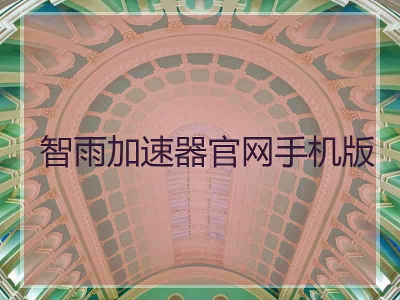 智雨加速器官网手机版