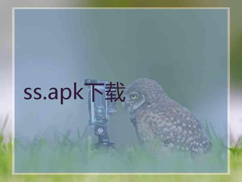 ss.apk下载