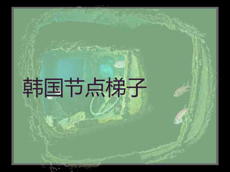 韩国节点梯子