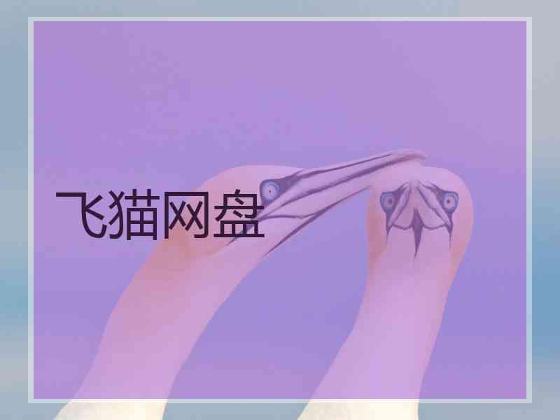 飞猫网盘