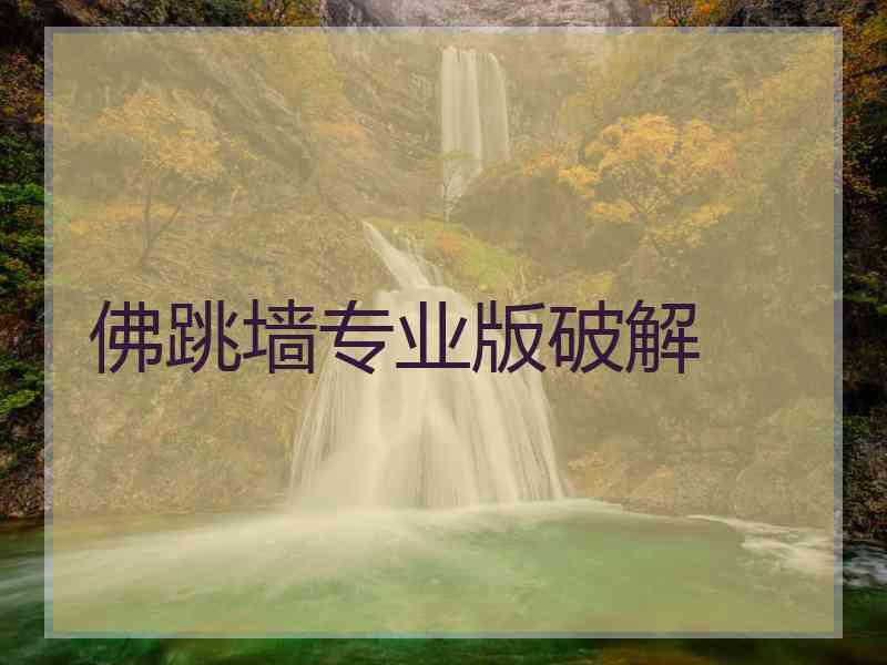 佛跳墙专业版破解