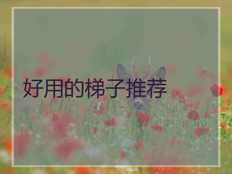 好用的梯子推荐