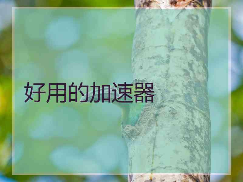 好用的加速器