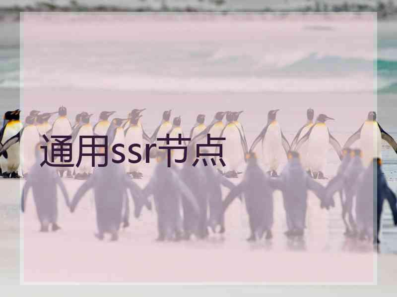 通用ssr节点