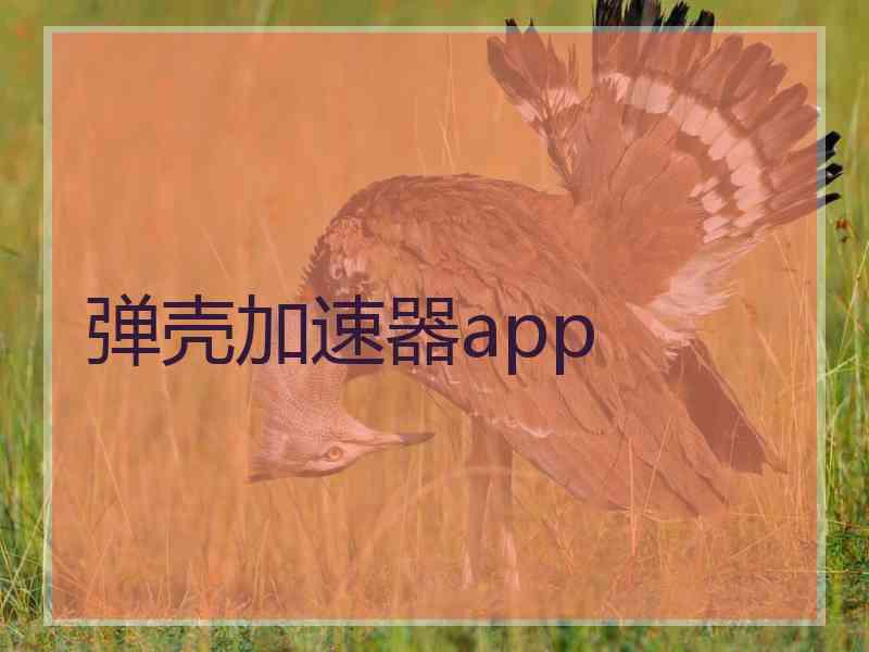 弹壳加速器app
