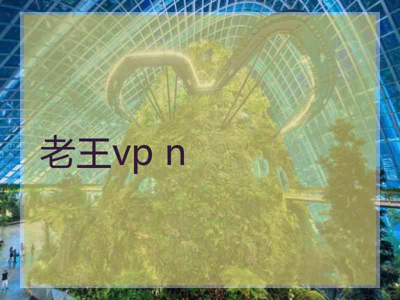 老王vp n