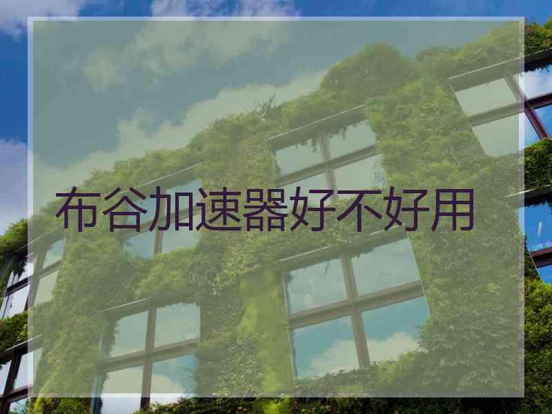 布谷加速器好不好用