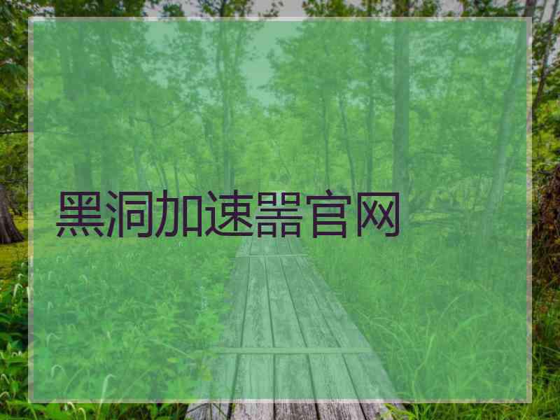 黑洞加速噐官网