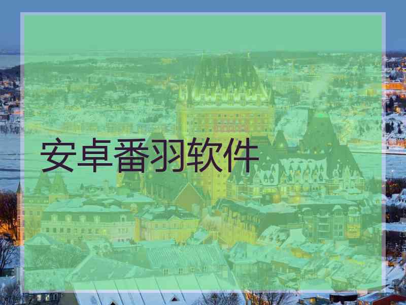 安卓番羽软件