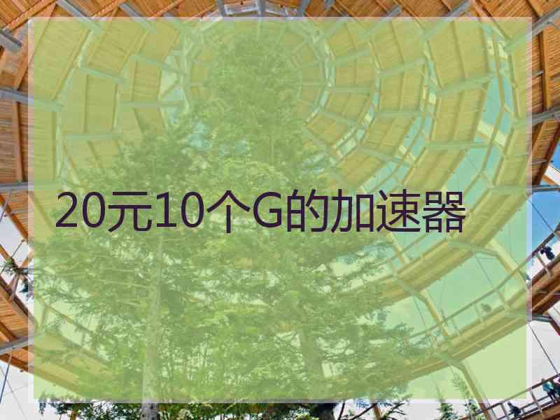 20元10个G的加速器