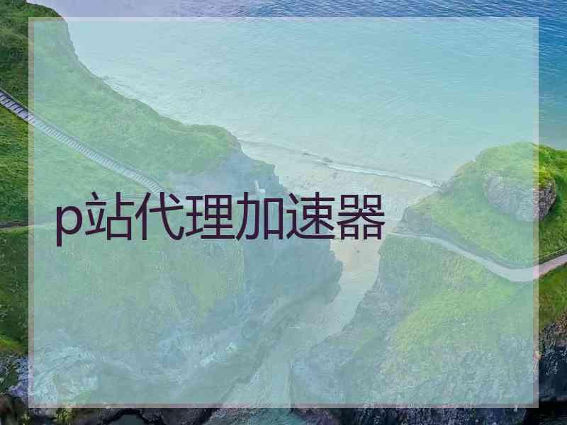 p站代理加速器
