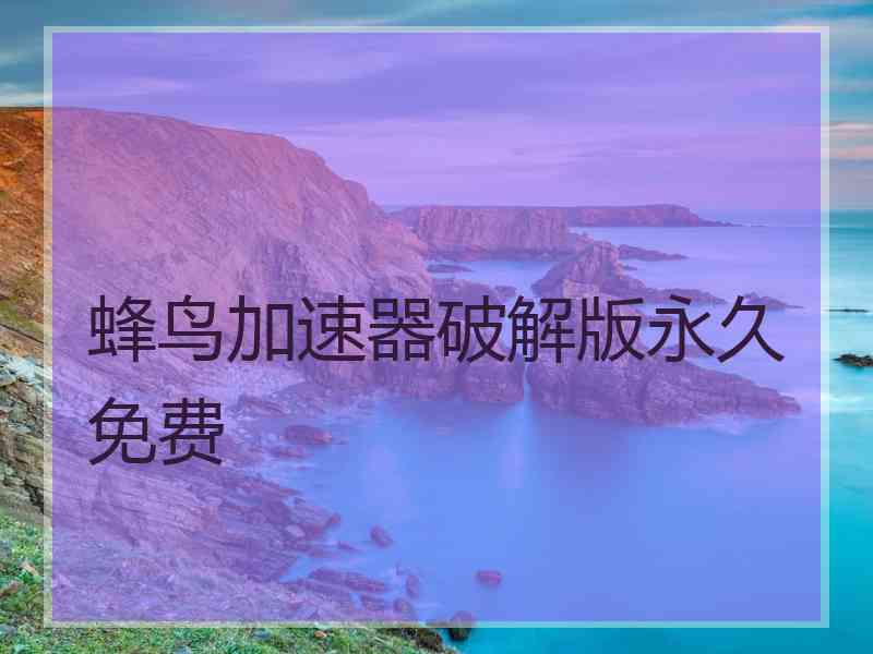 蜂鸟加速器破解版永久免费