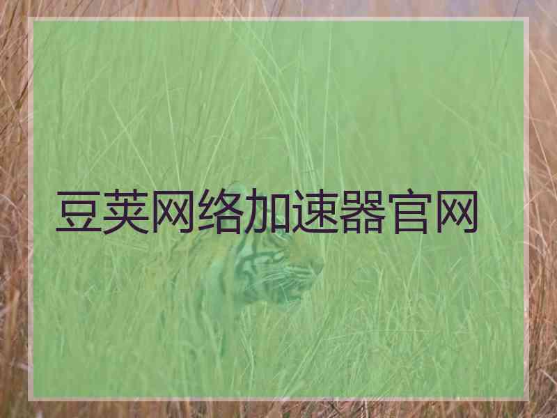 豆荚网络加速器官网